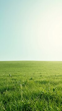 Green grass field under blue sky with clouds in a beautiful summer landscape