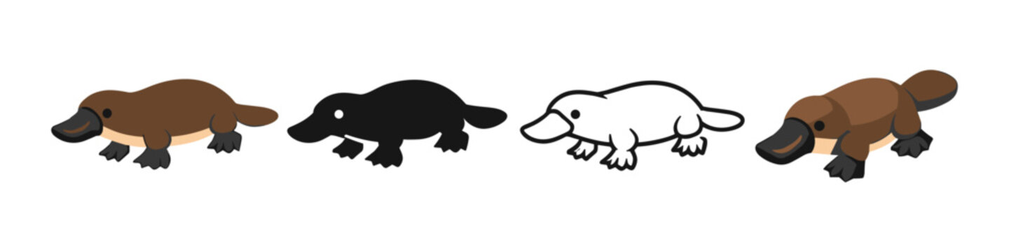 Four Platypus Illustrations