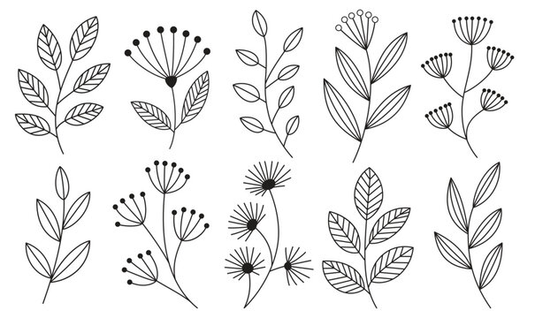 Botanical elements minimal floral vector line collection of hand drawn leaf outline illustration