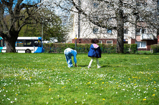 Children collecting daisies in springtime. Photo taken at Bockhanger in Kennington, Ashford, Kent, England