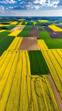 Aerial shot of diverse agricultural fields under a bright blue sky with puffy white clouds, exhibiting various crops