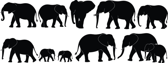 Elephant silhouettes set, African wildlife family herd walking isolated vector © meftahul creatives