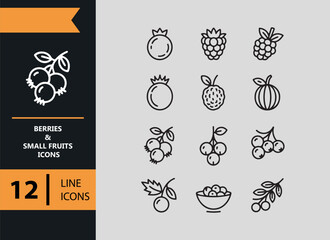 12 Berries and Small Fruits Icons outline icon set. Fresh berries and small fruits outline icons for healthy themes © MdMasudRana