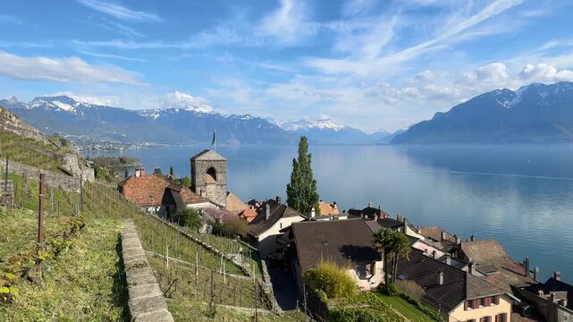 Lavaux vineyards and Lake Geneva panoramic view Saint Saphorin Switzerland