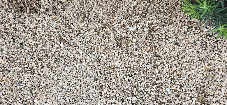 The garden is paved with many colors gravel or small crushed stone. A Podocarpus polystachyus tree is planted in the upper right corner. The gravel consists of small pieces scattered throughout area.

