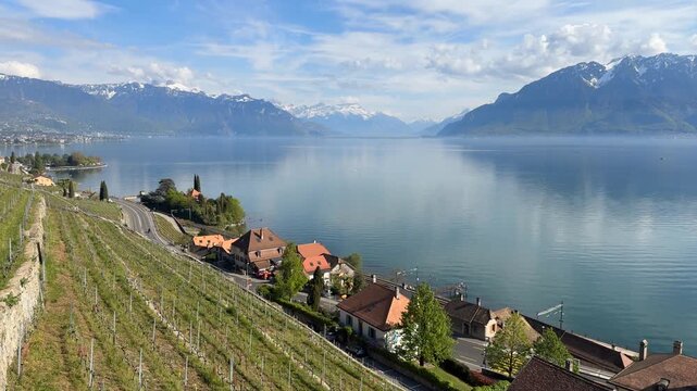 Lavaux vineyards panoramic view over Lake Geneva Swiss Alps Switzerland