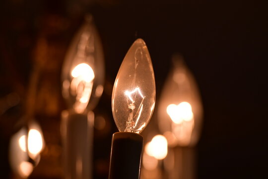 Light Bulbs