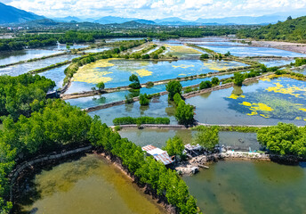 Obraz premium Seafood production ponds at Ninh Hoa near Nha Trang, Vietnam