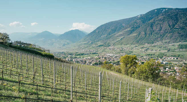 Aussicht auf Meran in S&uuml;dtirol