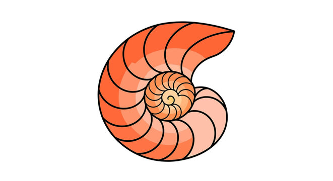 Stylized nautilus shell vector illustration in orange tones