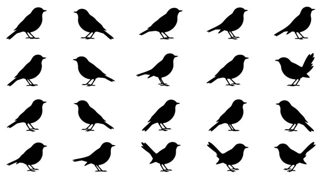 Collection of assorted bird silhouette graphics perfect for creative design projects