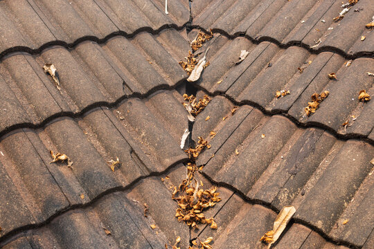 Dry leaves stuck valley roof rafters , clean before rainy season.