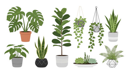 Obraz premium Indoor plants vector set green houseplants pot decoration illustration