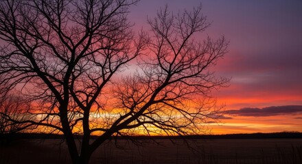 Fototapeta premium Bare Tree Branches Silhouetted Against Vibrant Sunset Sky