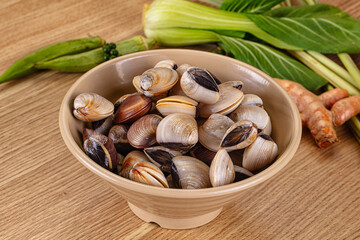 Raw fresh wild clams mollusc © Andrei Starostin