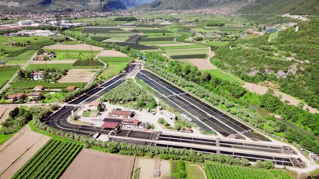 Fish farming facility with river channel and ponds in Sarca valley, aerial view. Aquaculture infrastructure and sustainable food production