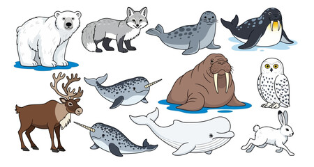 A collection of arctic and subarctic animals in cartoon style © MD