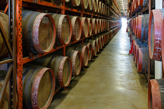 Long rows of traditional oak barrels, stacked high in the aging cellars of the historic Rum Distillery, mature under controlled conditions in the town of Arucas
