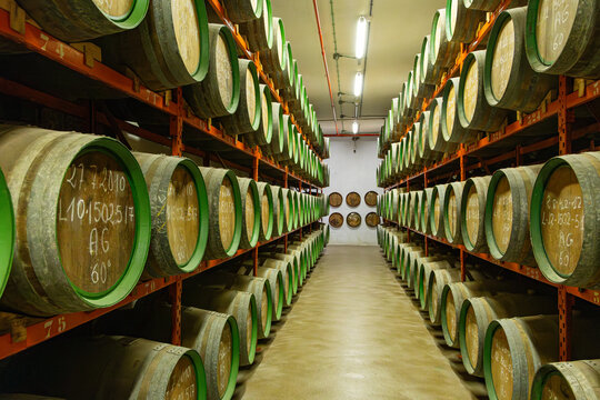 Long rows of traditional oak barrels, stacked high in the aging cellars of the historic Rum Distillery, mature under controlled conditions in the town of Arucas
