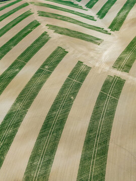 An aerial view of the undulating agricultural fields in the Moravia region, featuring precisely planted green crop stripes that follow the natural contours of the hills near Kunkovice