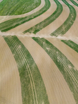 An aerial view of the undulating agricultural fields in the Moravia region, featuring precisely planted green crop stripes that follow the natural contours of the hills near Kunkovice
