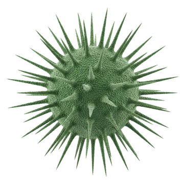 Green spiky virus or microorganism cell isolated on a transparent background