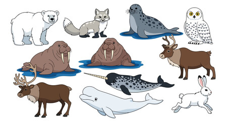 A collection of arctic and cold climate animals illustrated in a cartoon style © MD