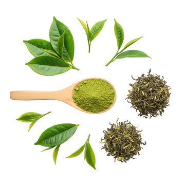 Matcha green tea powder in wooden spoon with tea leaves isolated on a transparent background