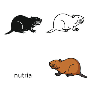Nutria icon set cute simple outline and silhouette vector illustration.