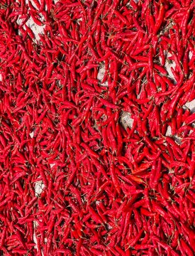 Vibrant texture of organic dried red chilies (Sukna Morich) creating a natural pattern of spice and heat