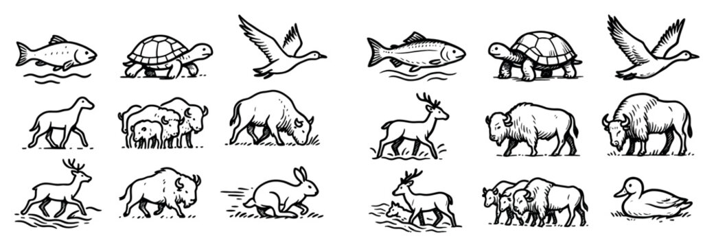 Wildlife icons with fish turtle deer sketch