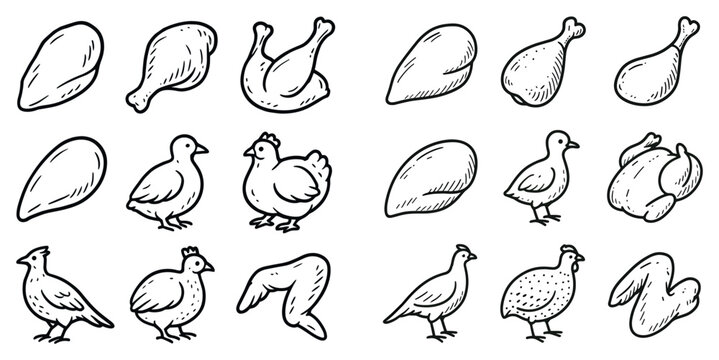 Poultry icons with drumstick chick and wing outline