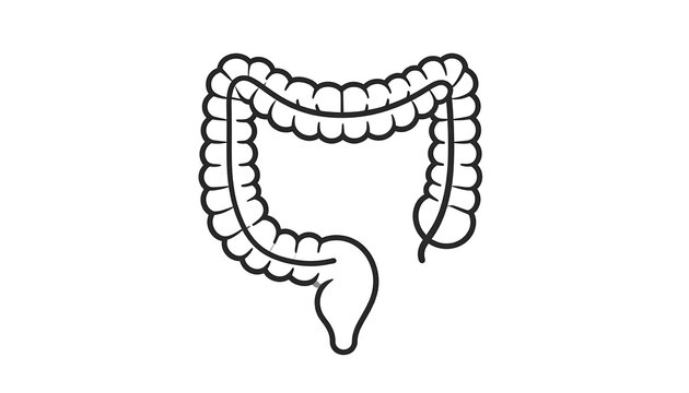 Black and white illustration depicting a human colon's outline. The organ is stylized with curved segments and a downward appendix