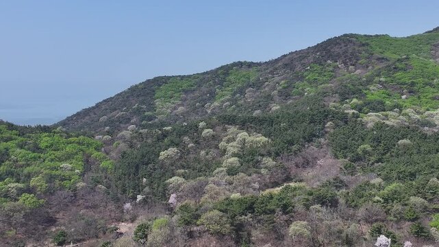인천 영종도내 소무의도