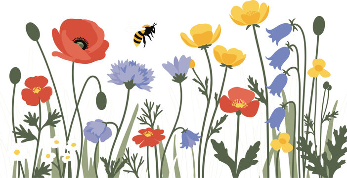 Colorful Wildflower Meadow with Poppies, Cornflowers, Buttercups, Bluebells, and Bee for Spring, Nature, and Botanical DesignsColorful Wildflower Meadow with Poppies, Cornflowers, Buttercups, 