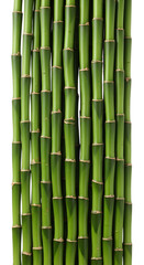 Obraz premium Green bamboo stalks arrangement, fresh bamboo poles forest pattern isolated on white & transparent background, sustainable eco-friendly material for nature design and spa decor