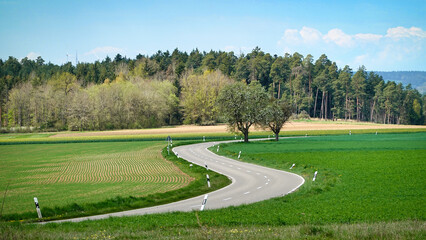Blick über eine Landstrasse am Rand des Schwarzwalds in Baden-Wuerttemberg, Deutschland mit zwei markanten Bäumen im Panorama und Wald im Hintergrund © joerghartmannphoto
