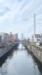 Obraz premium Meguro River in Tokyo Japan