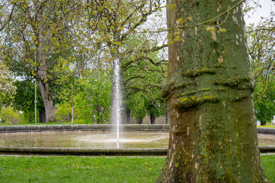 Ein Springbrunnen in einem sch&ouml;nen Park