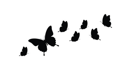 A group of butterflies in flight displayed as a striking silhouette © MDSAJIB