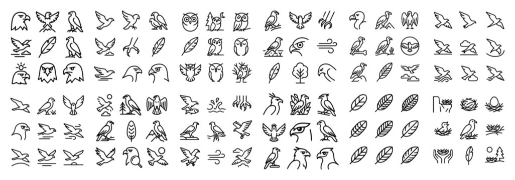 Bird and nature line icon collection
