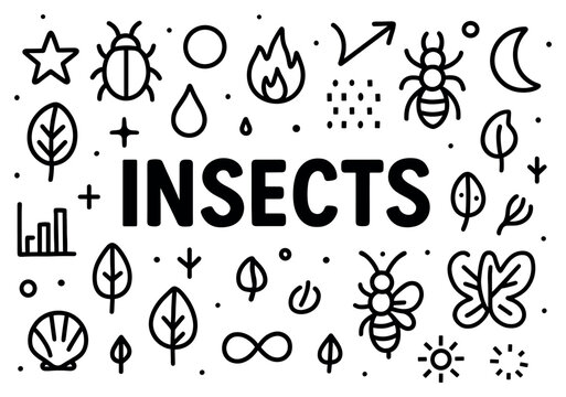Insect icons with beetle bee and butterfly outline