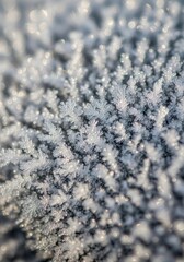 Obraz premium Close Up Shot of Frozen Snowflakes on a Dark Background