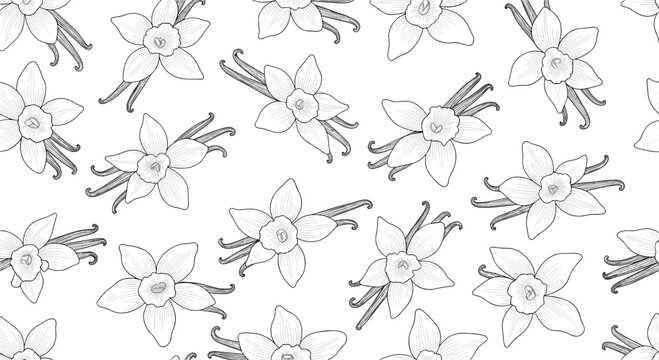 Seamless black and white pattern of vanilla orchid flowers and dried pods in a traditional hand drawn engraving style.