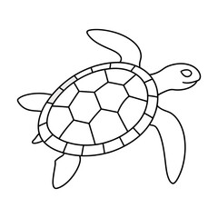 Obraz premium Vector of a sea turtle swimming in the ocean with a vibrant coral reef background