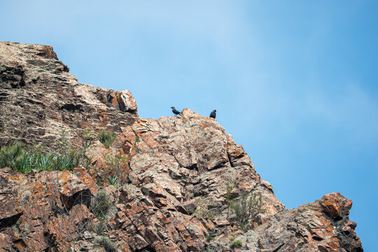 Two jackdaws (Coloeus monedula) sitting on a sharp rocky ridge of a high mountain under a bright sunny sky. Jackdaws resting on a steep rocky cliff in a mountainous landscape.