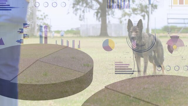 Owner entering from left approaching leashed shepherd for control, 3D charts overlaying for data
