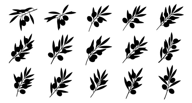 Olive branch silhouette vector set with hand drawn botanical elements isolated on white background