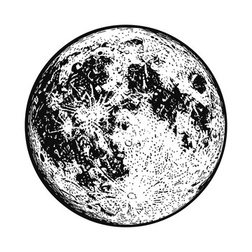 Modern QQ Messenger Style Mascot Illustration for Social Media and Digital Communication Design