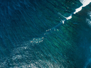 Drone shot of surfers riding waves over coral reef in Bali, tropical surf trip © artifirsov